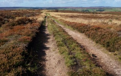 Walking Through Grief: A Moor And Church Walk